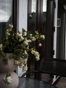 Barn house 4 СЕЗОНИ