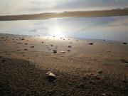 Top Ursulo Galván Top Ursulo Galván