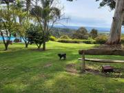 Top Lilydale