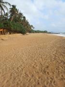 Roy villa Landside hotel