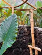 Top Ubud