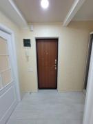 Сучасна 1-кімнатна квартира біля метро Політехнічний інститут