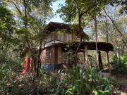 Top Agonda