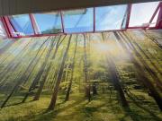 Top Leukerbad Top Leukerbad