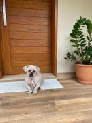 Casa com varanda, ar condicionado pet friendly