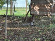 Top Asnières-la-Giraud