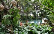 Top Siem Reap