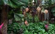Top Siem Reap