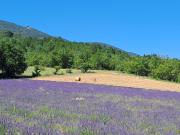 Top Saint-Martin-de-Castillon