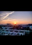 1 bhk Floral Apartment