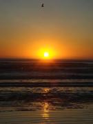 Departamento Mar de Ajó