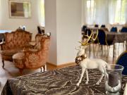 Top Żelazowa Wola Top Żelazowa Wola