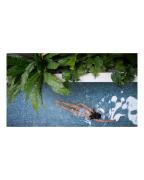 Top Ấp Bình Hưng