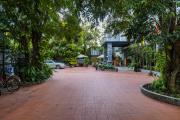 Green Amazon Residence