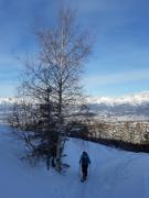 Top Ponte nellʼAlpi
