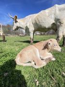 Top Poggio Moiano Top Poggio Moiano