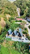 Top Rize