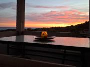 Top Bar