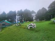 Top Dalhousie
