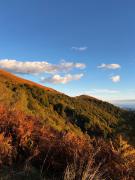 Top Lavena Ponte Tresa