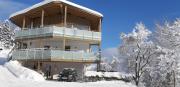 Stubai Apartment Telfes