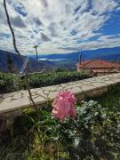 Top Delfoi Top Delfoi