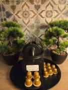 Top Rzeszów Top Rzeszów