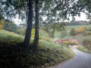 Top Sainte-Marie-aux-Mines