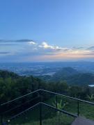 Top Pereira
