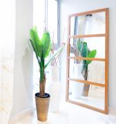 Top Santo Domingo Top Santo Domingo