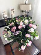 Top San Donato Milanese