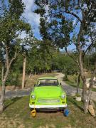 Top Albestii de Arges