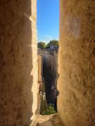 Top Avignon