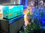 Top Mina Clavero Top Mina Clavero