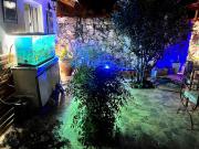 Ashram Asociación Argentina de Yoga