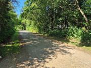 Secluded Oasis by Kvie Lake-By Traum