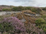 24 persons holiday home in Nørre Nebel