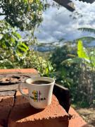 Top Bellavista
