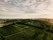 Tallagandra Hill Winery Cottages