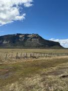 Top Puerto Natales Top Puerto Natales