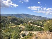 Top Kyperounda