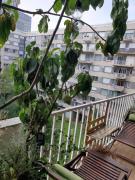 Orangerie de la Défense Orangerie de la Défense