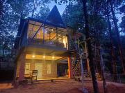Top Wayanad