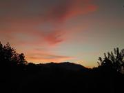 Green Surrounding Homestay Ella