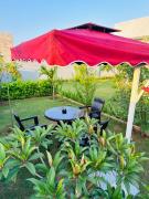 Top Jaipur Top Jaipur