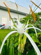 Top Jaipur Top Jaipur