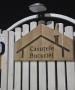 Top Pucioasa Top Pucioasa