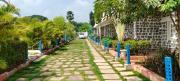 Top Warangal