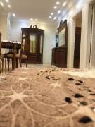 شقه فندقيه بالمهندسين