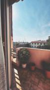 Top Livorno